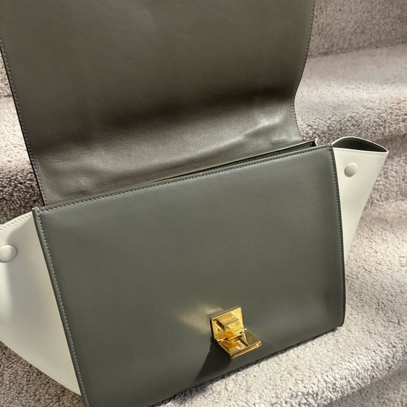 Celine Trio Color Python Trapeze - Picture 10 of 13